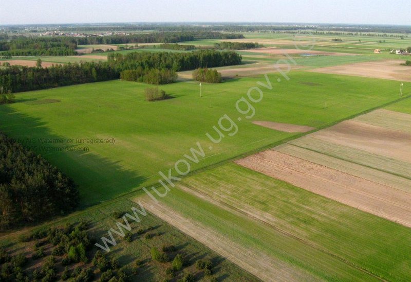 Lazy TSSE foto_2.jpg